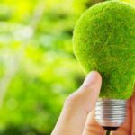 Eco-Friendly Practices for Environmental Protection