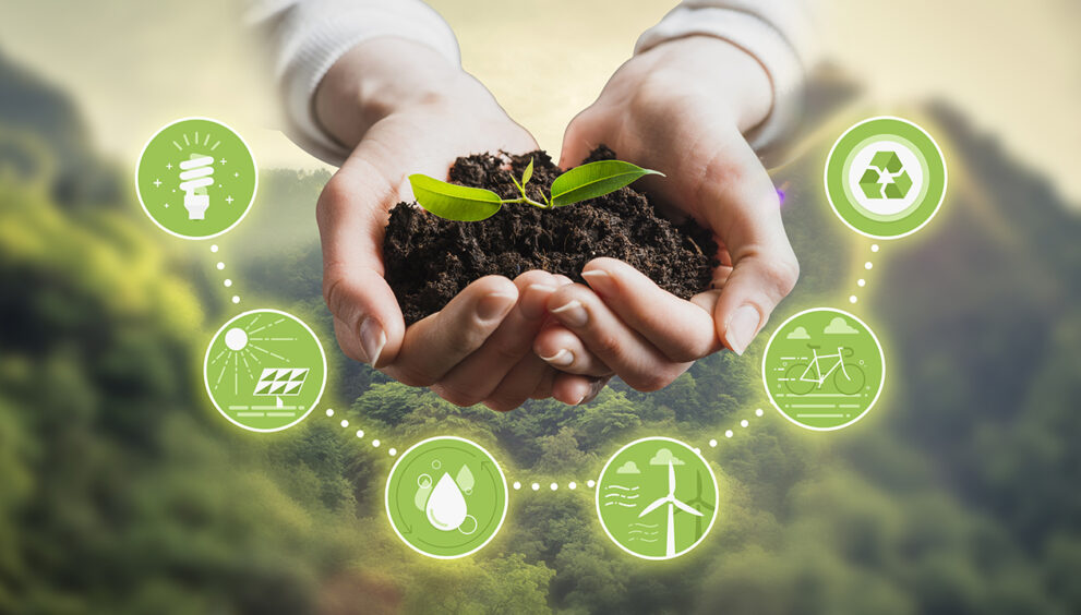 The Benefits of Sustainability for Business Growth